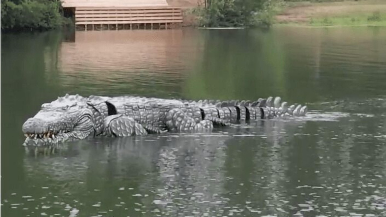 Photo of Outdoor in Graulhet