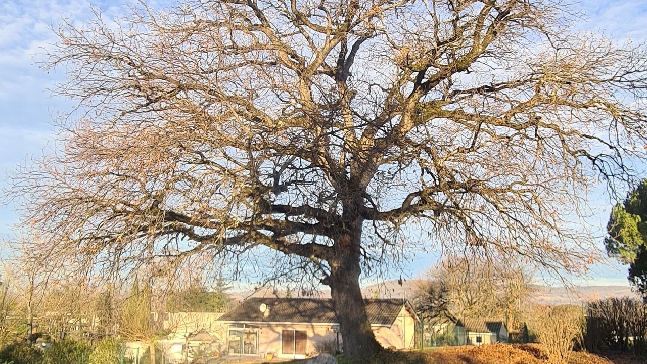 Photo of Outdoor in Graulhet