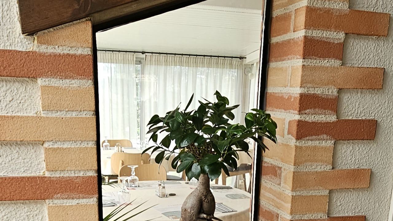 Photo of Others in Graulhet