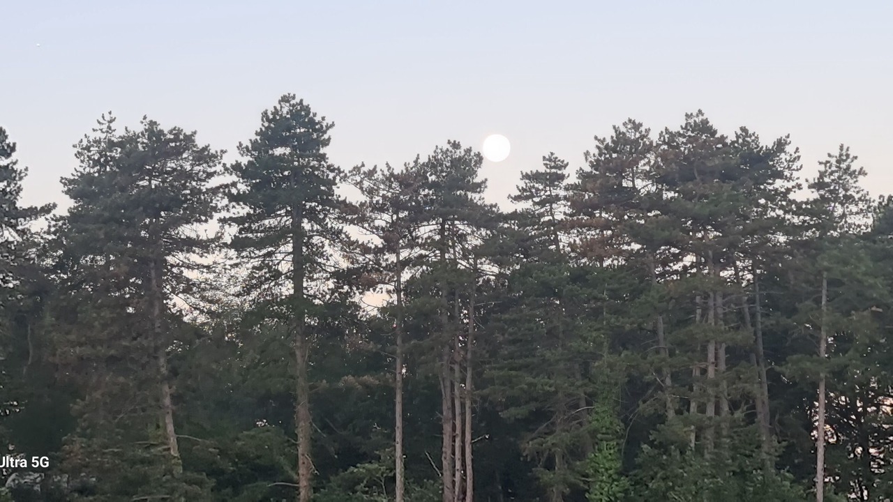 Photo of Outdoor in Graulhet