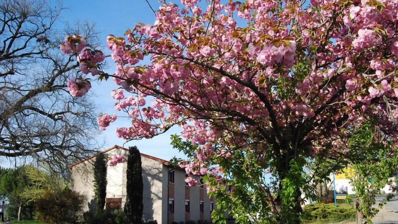 Photo of Outdoor in Graulhet