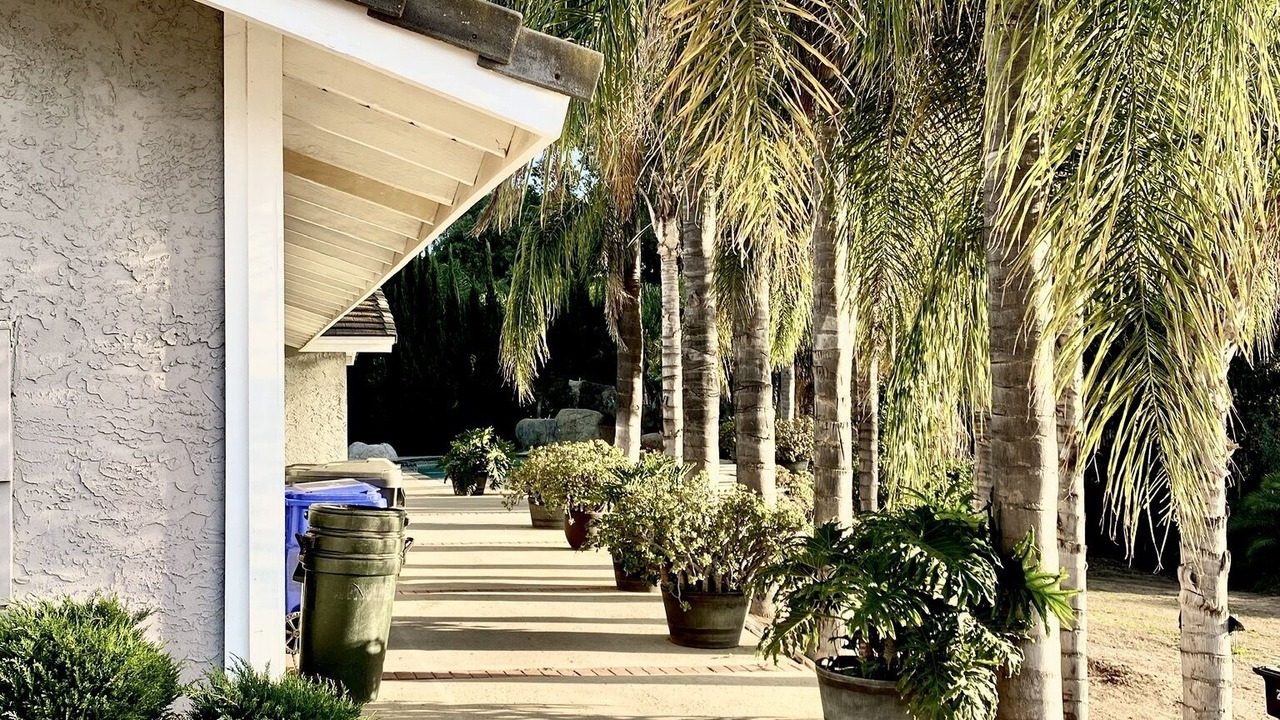 Photo of Outdoor in Kit Carson