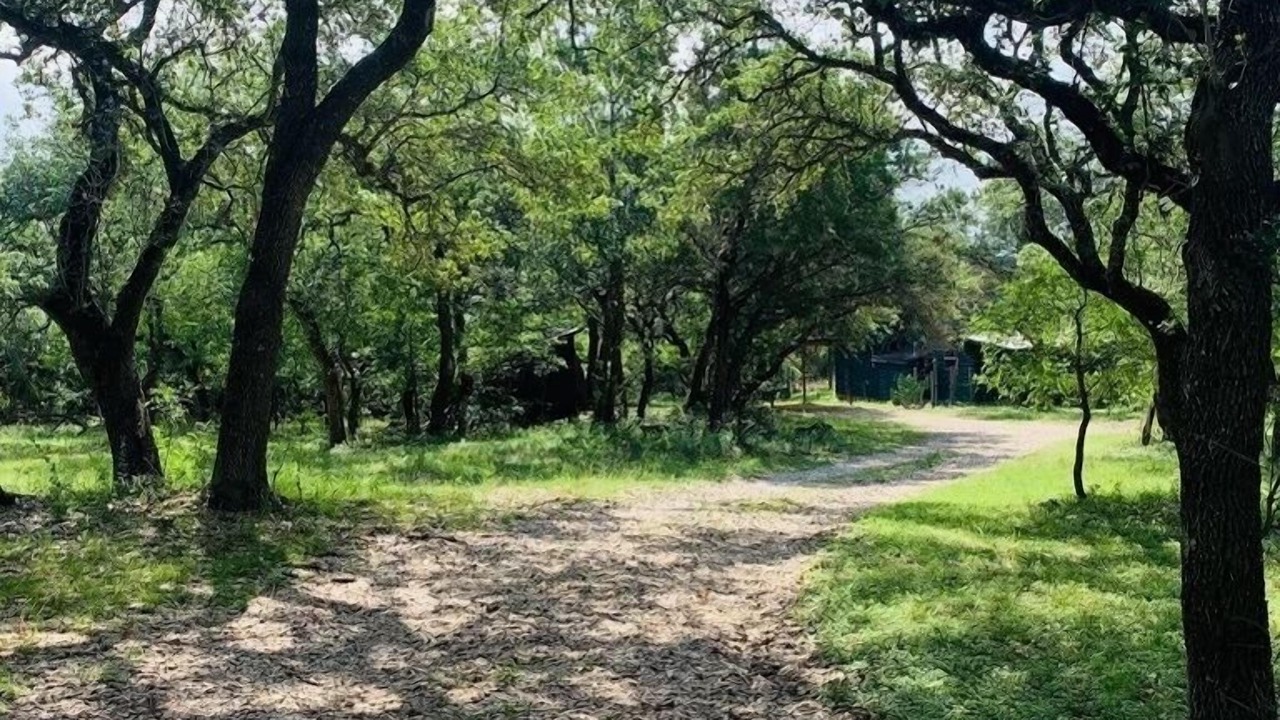 Photo of Outdoor in San Marcos