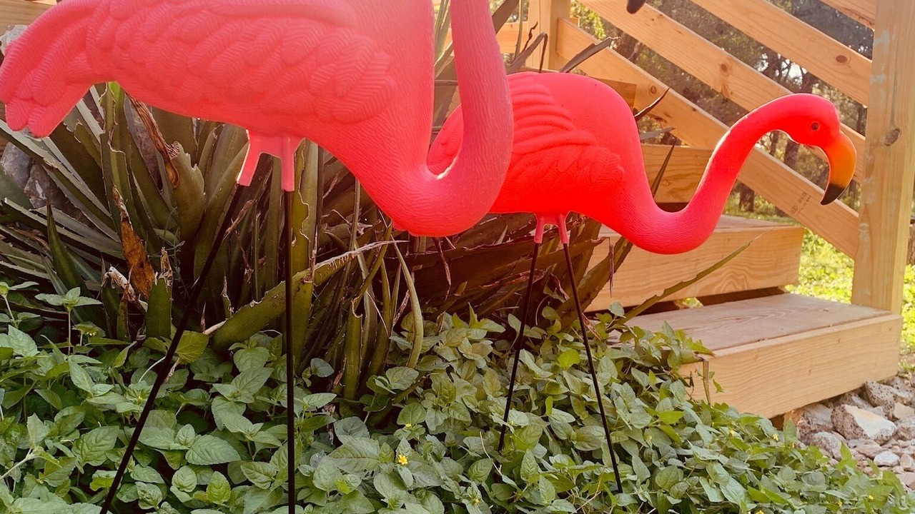 Photo of Outdoor in San Marcos