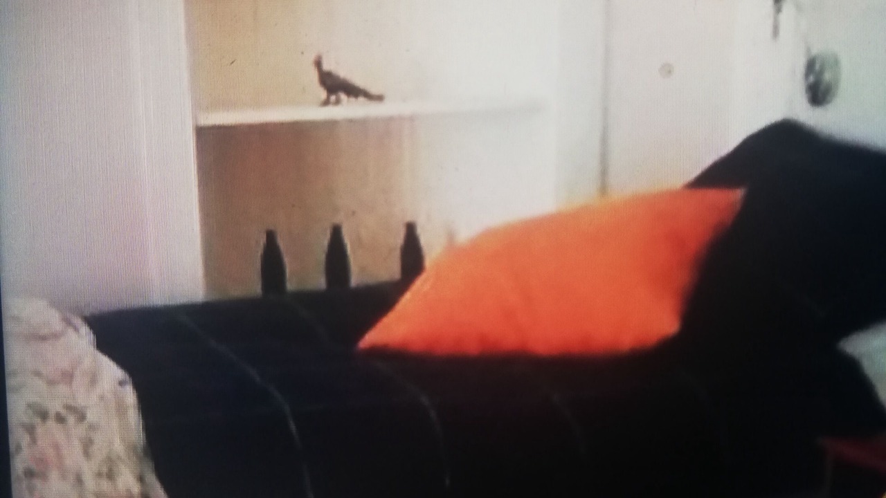 Photo of Others in Mainland