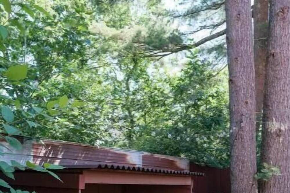 Photo of Outdoor in Lunenburg County