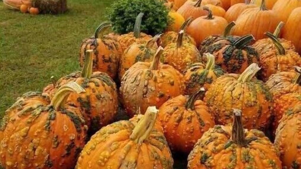 Photo of Others in Walpole