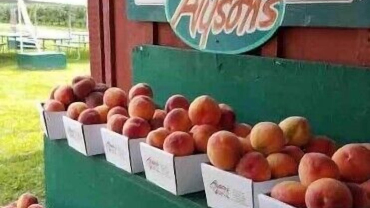 Photo of Others in Walpole