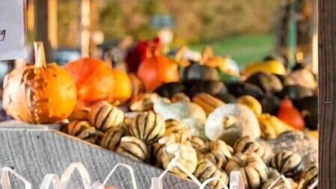 Photo of Others in Walpole