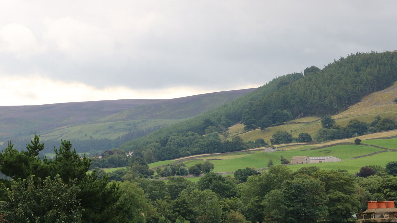 Photo of Others in Reeth