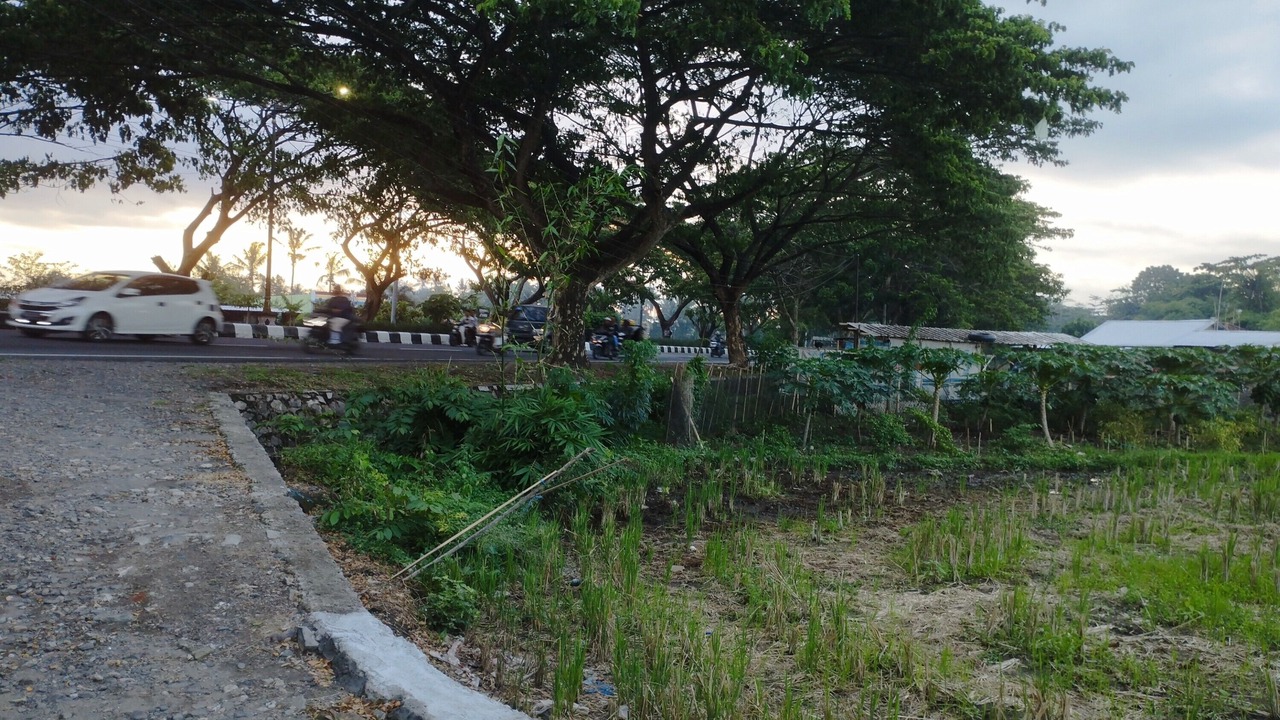Photo of Outdoor in Kecamatan Kuripan