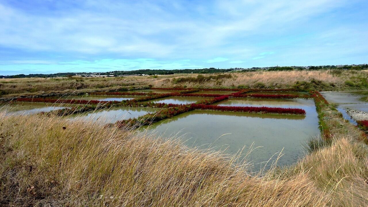 Photo of Others in Guerande