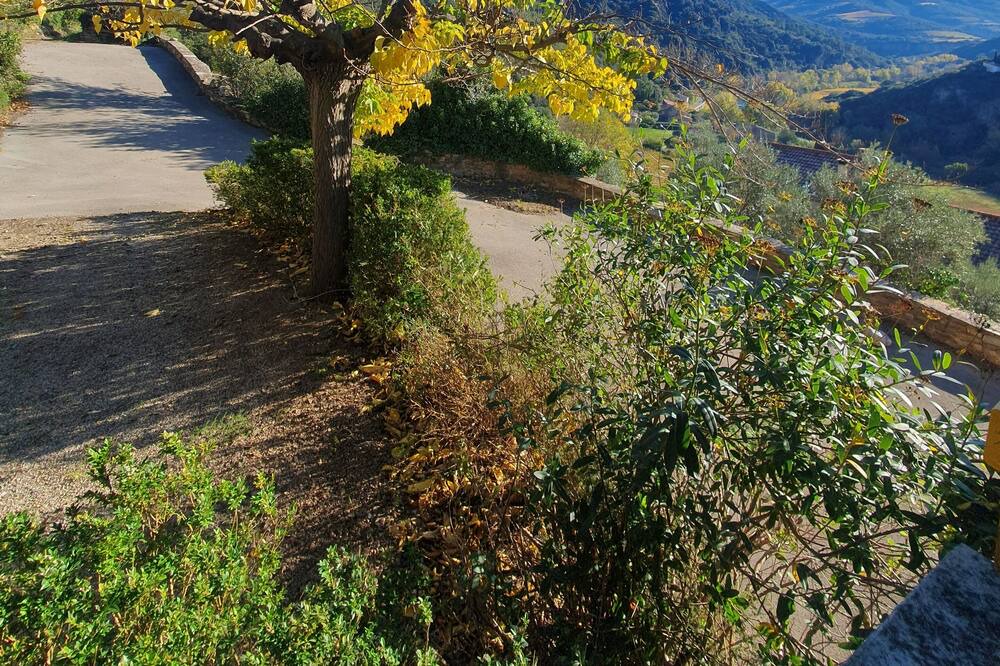 Photo of Outdoor in Vieussan