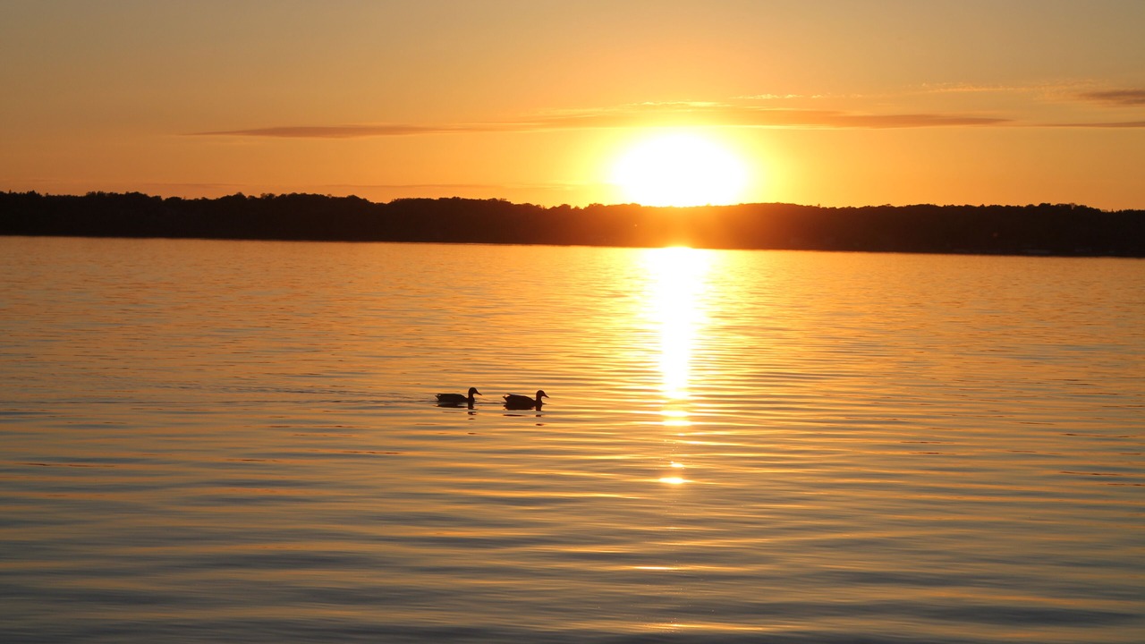 Photo of Others in Colpoys Bay