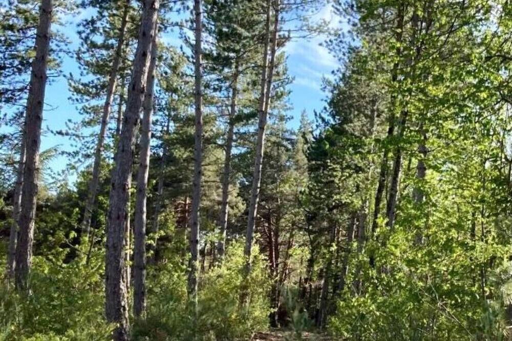 Photo of Outdoor in Revest-du-Bion