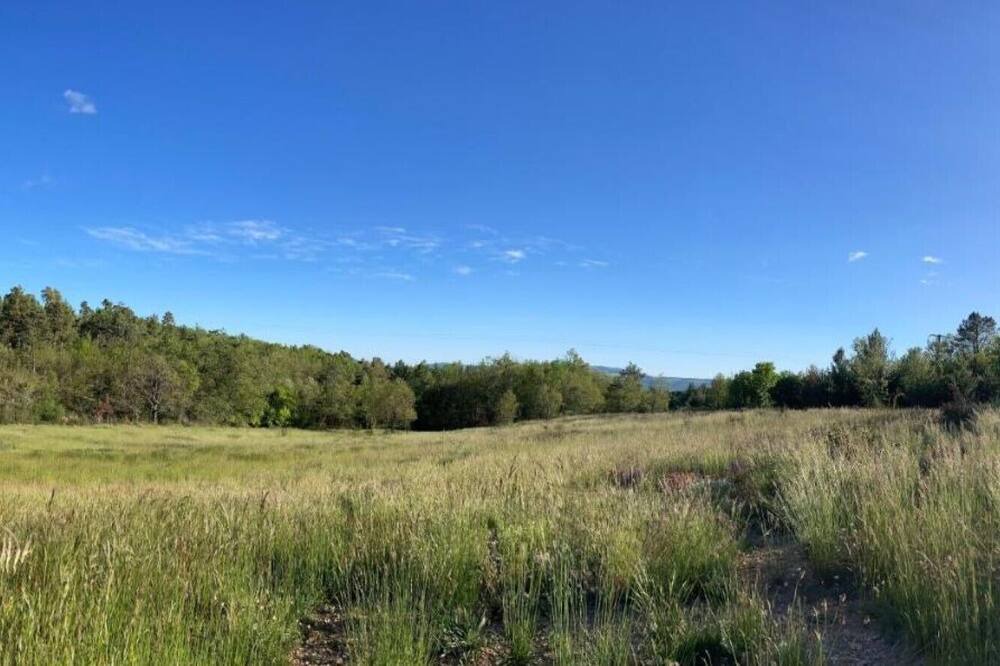 Photo of Outdoor in Revest-du-Bion
