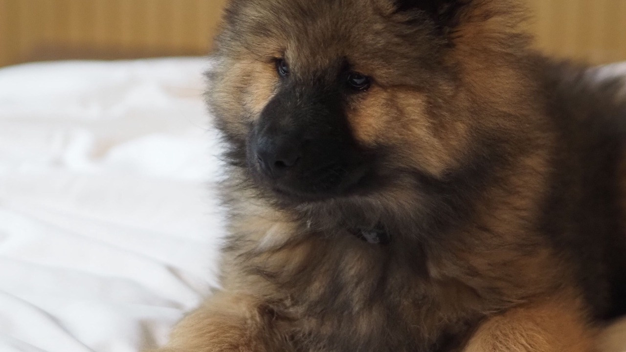 Photo of Others in Wazemmes