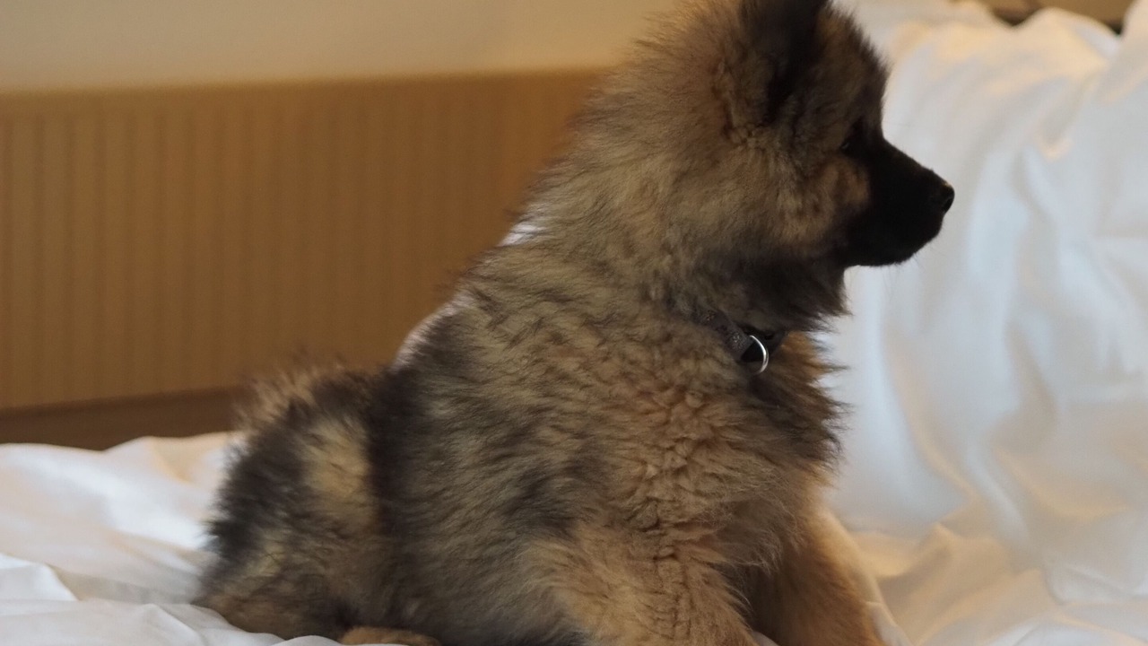 Photo of Others in Wazemmes