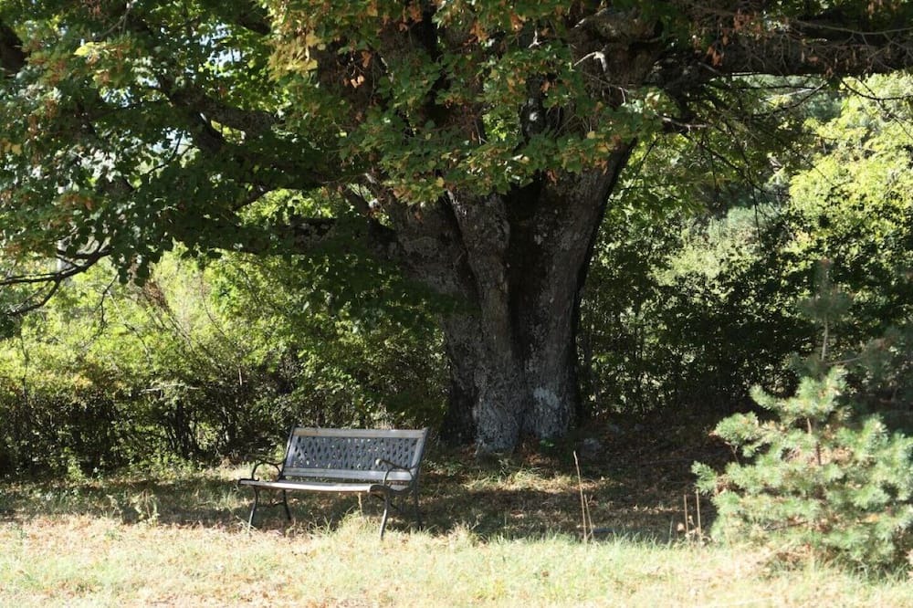 Photo of Outdoor in Revest-du-Bion