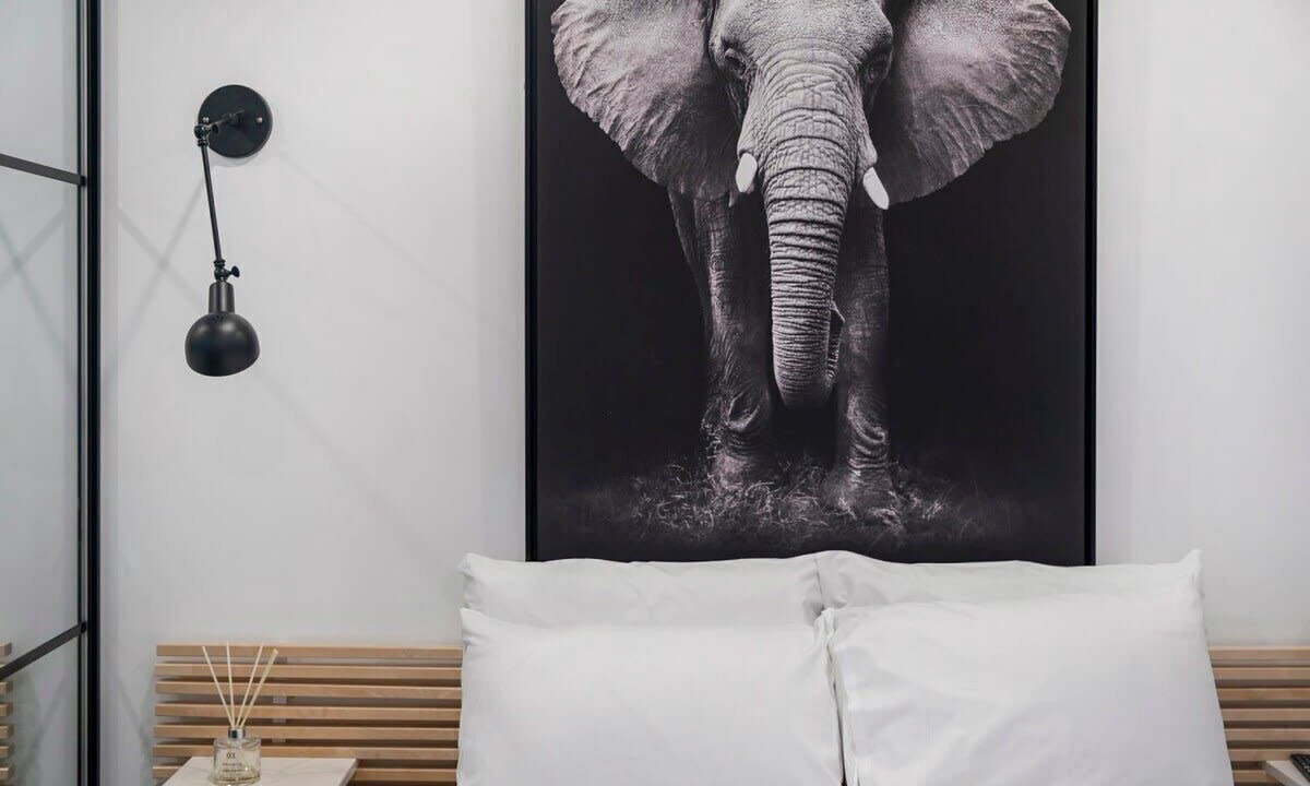 Photo of Others in Neutral Bay