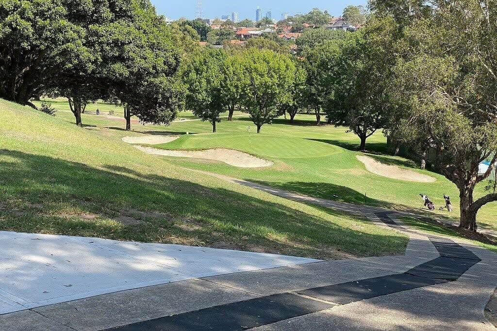 Photo of Others in Neutral Bay