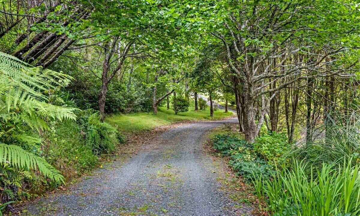 Photo of Outdoor in Whangateau