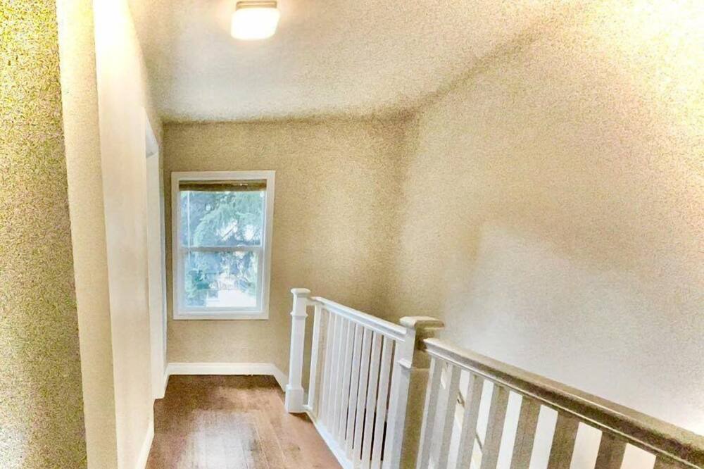 Photo of Others in University District