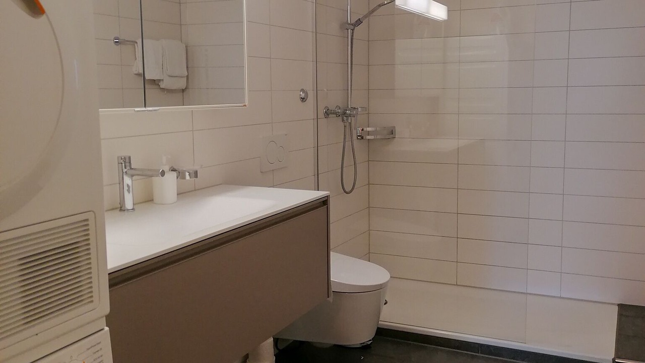 Photo of Bathroom in Bad Zurzach