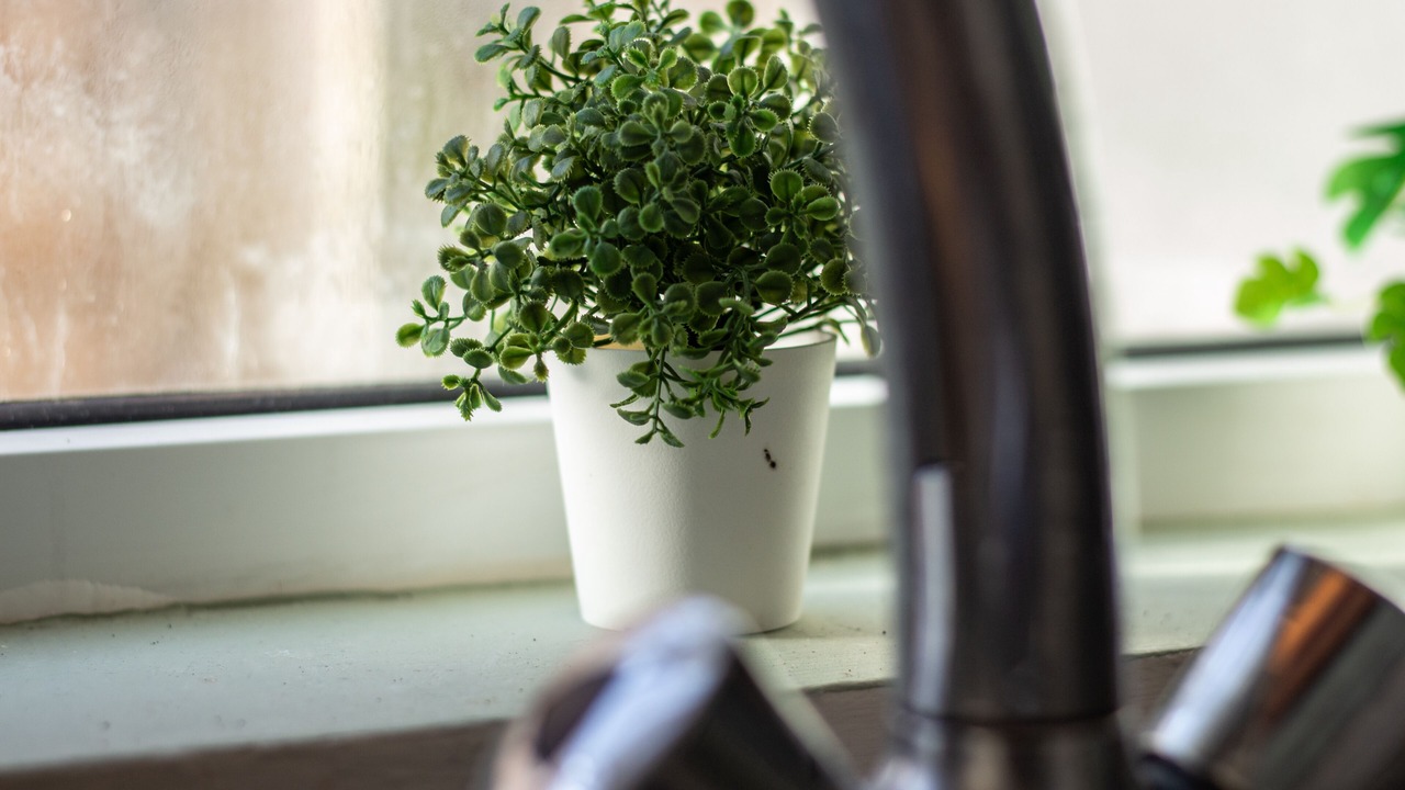 Photo of Others in Preston