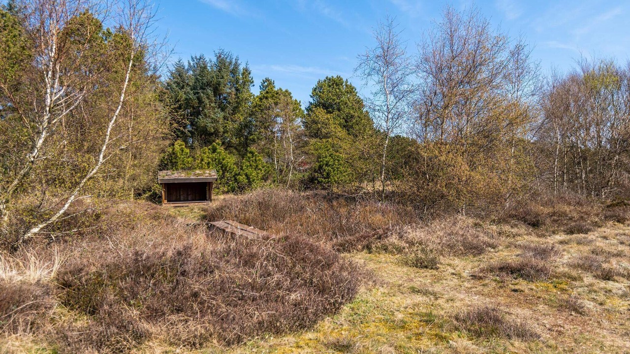 Photo of Outdoor in Sønderho