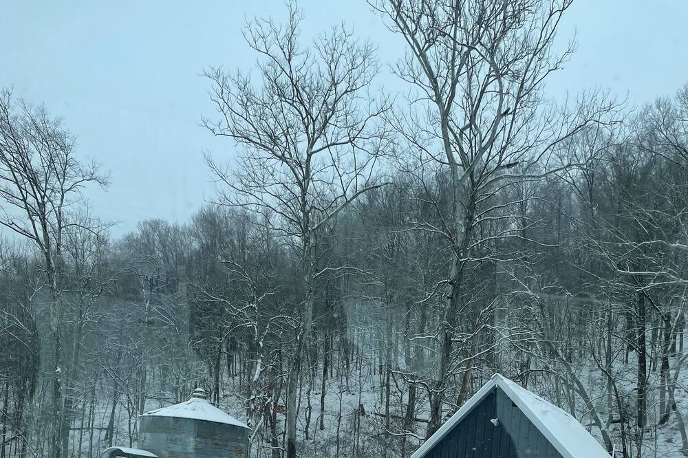 Photo of Outdoor in Leadsville