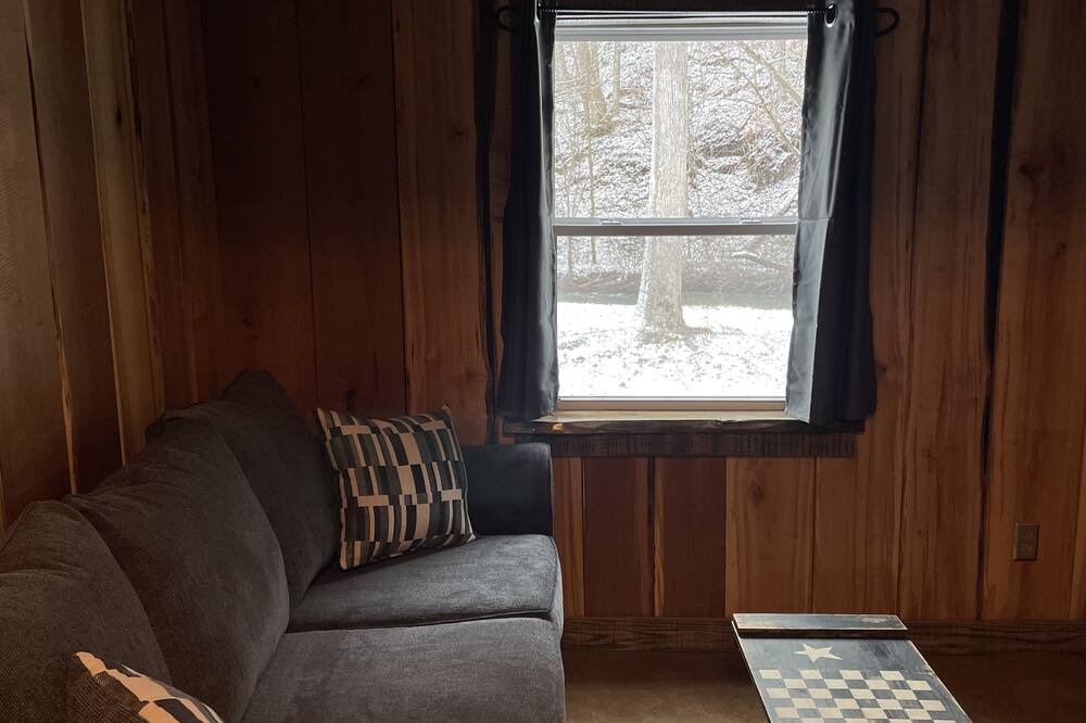 Photo of Livingroom in Leadsville
