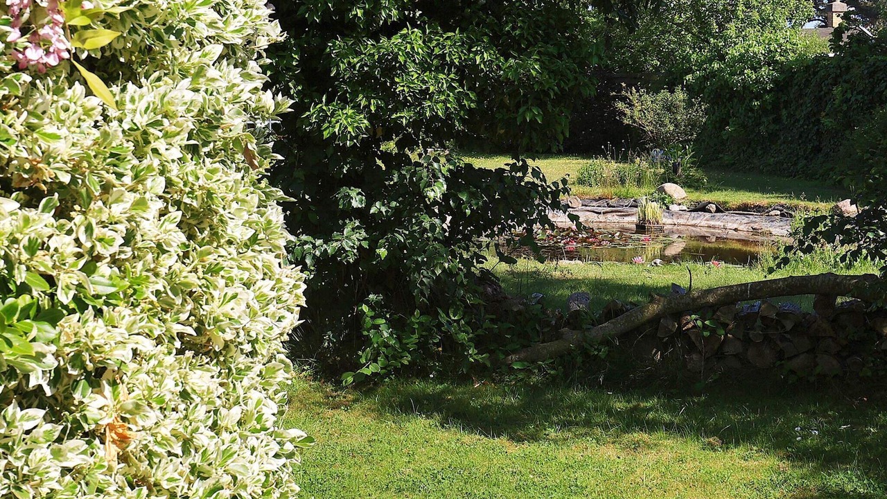 Photo of Outdoor in Vordingborg