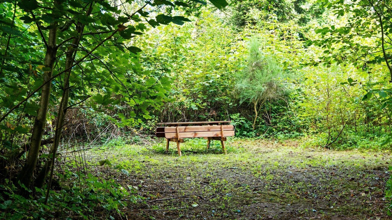Photo of Outdoor in Ringkobing