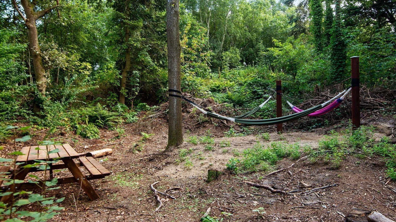 Photo of Outdoor in Ringkobing