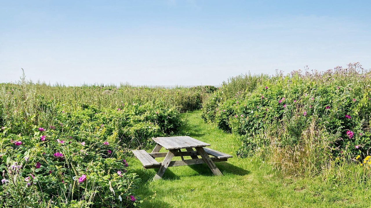 Photo of Outdoor in Hjerting