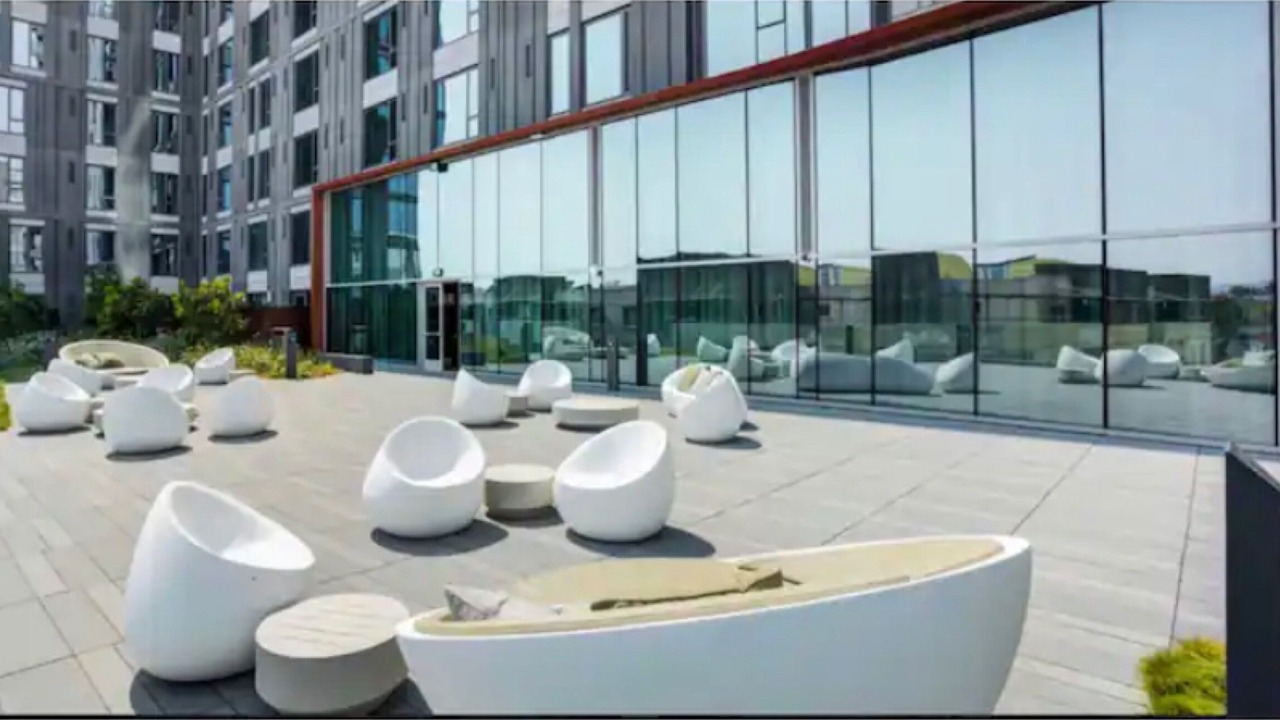 Photo of Others in Mosswood