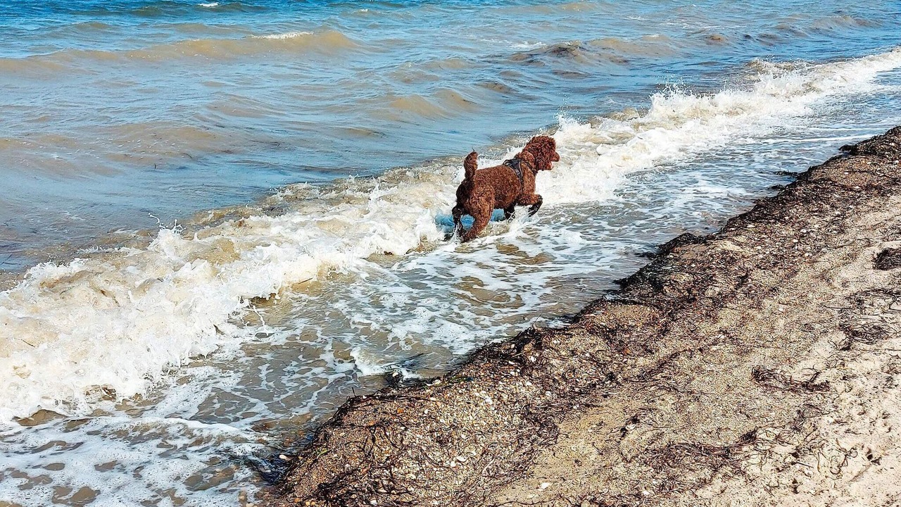Photo of Outdoor in Floutrup