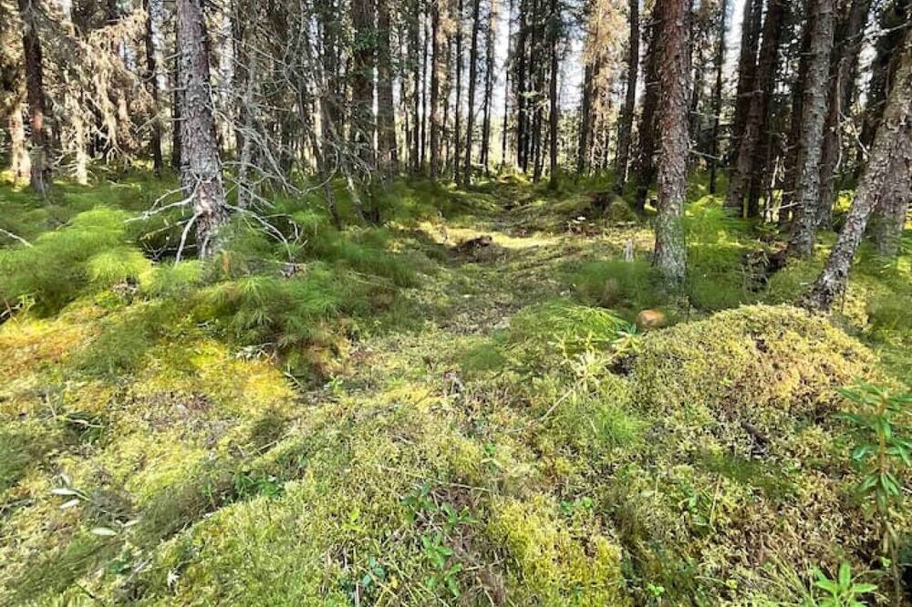 Photo of Others in Meadow Lakes