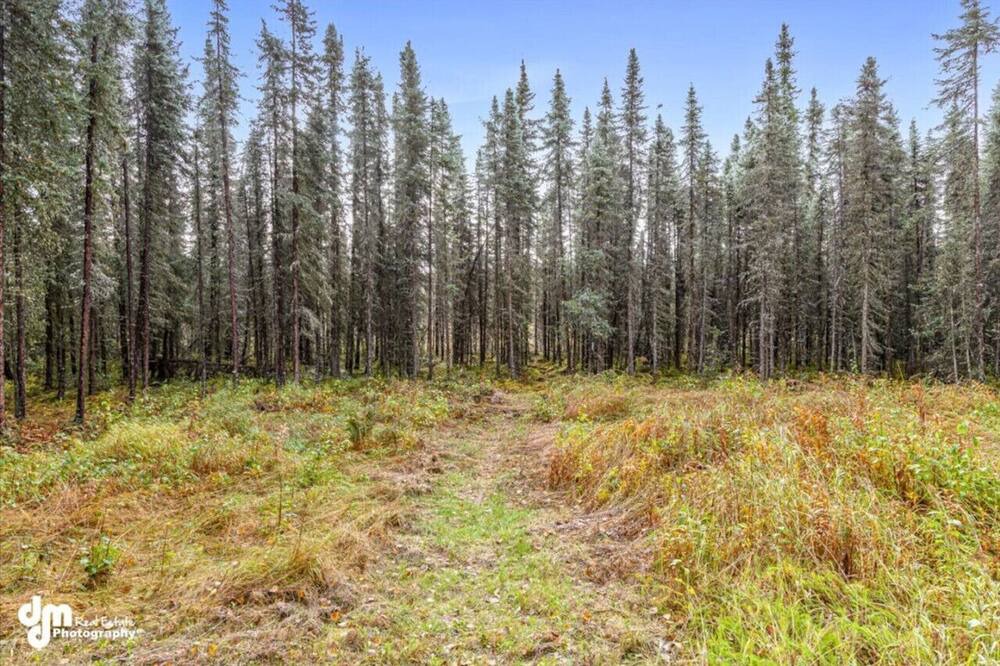 Photo of Others in Meadow Lakes