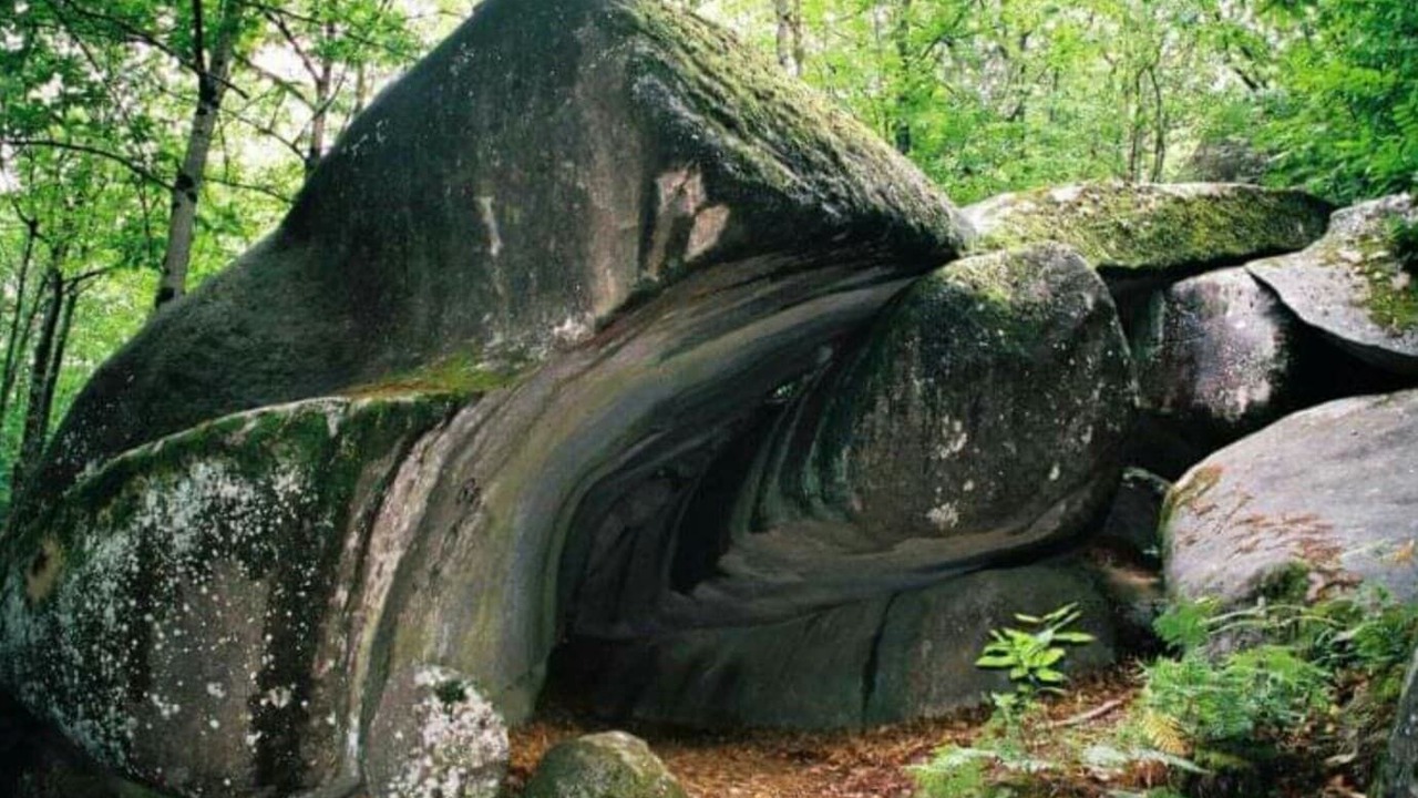 Photo of Outdoor in Montredon-Labessonnie