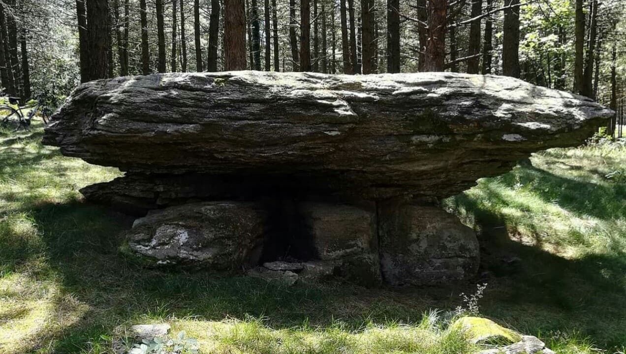 Photo of Outdoor in Montredon-Labessonnie