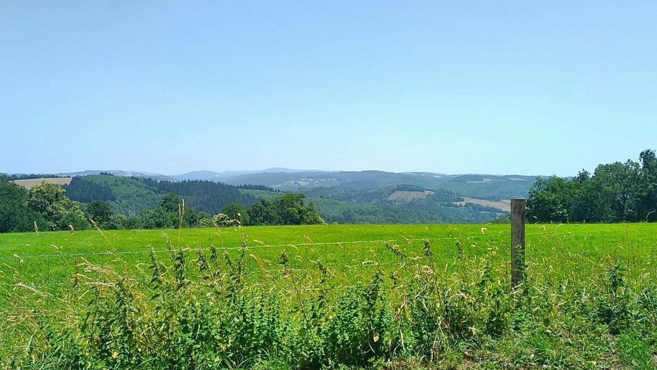 Photo of Outdoor in Montredon-Labessonnie
