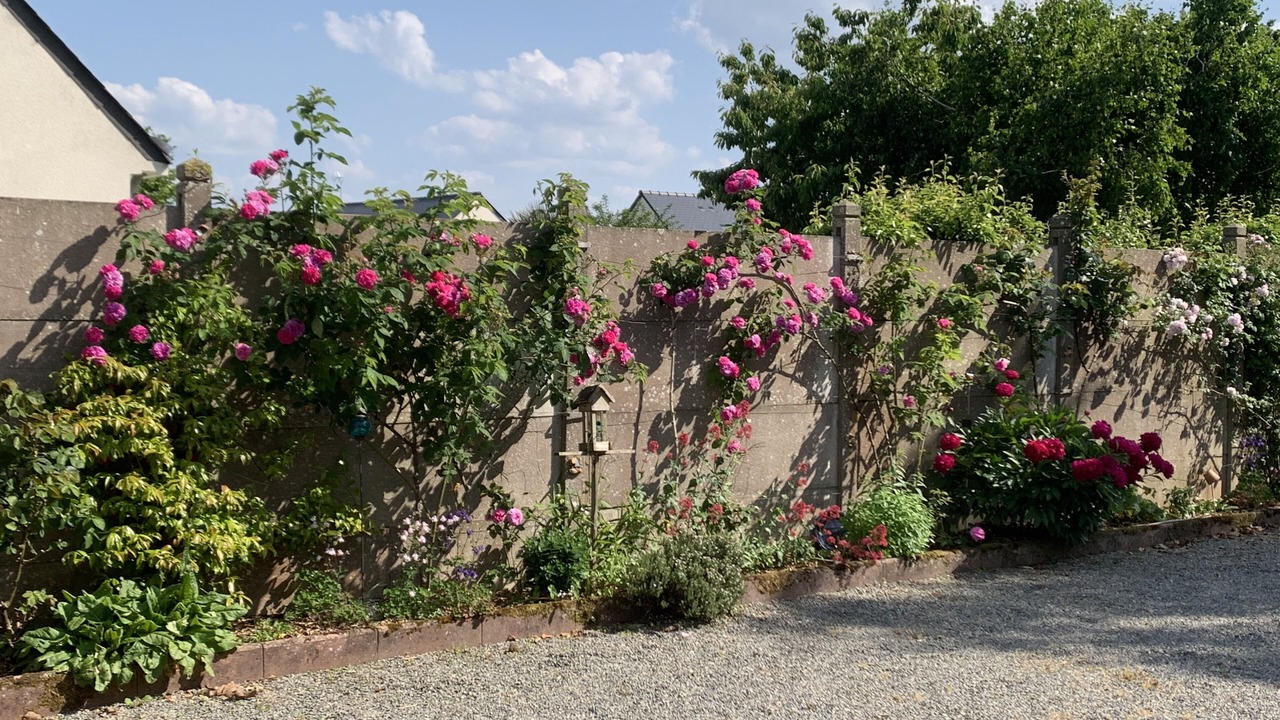 Photo of Outdoor in Campbon