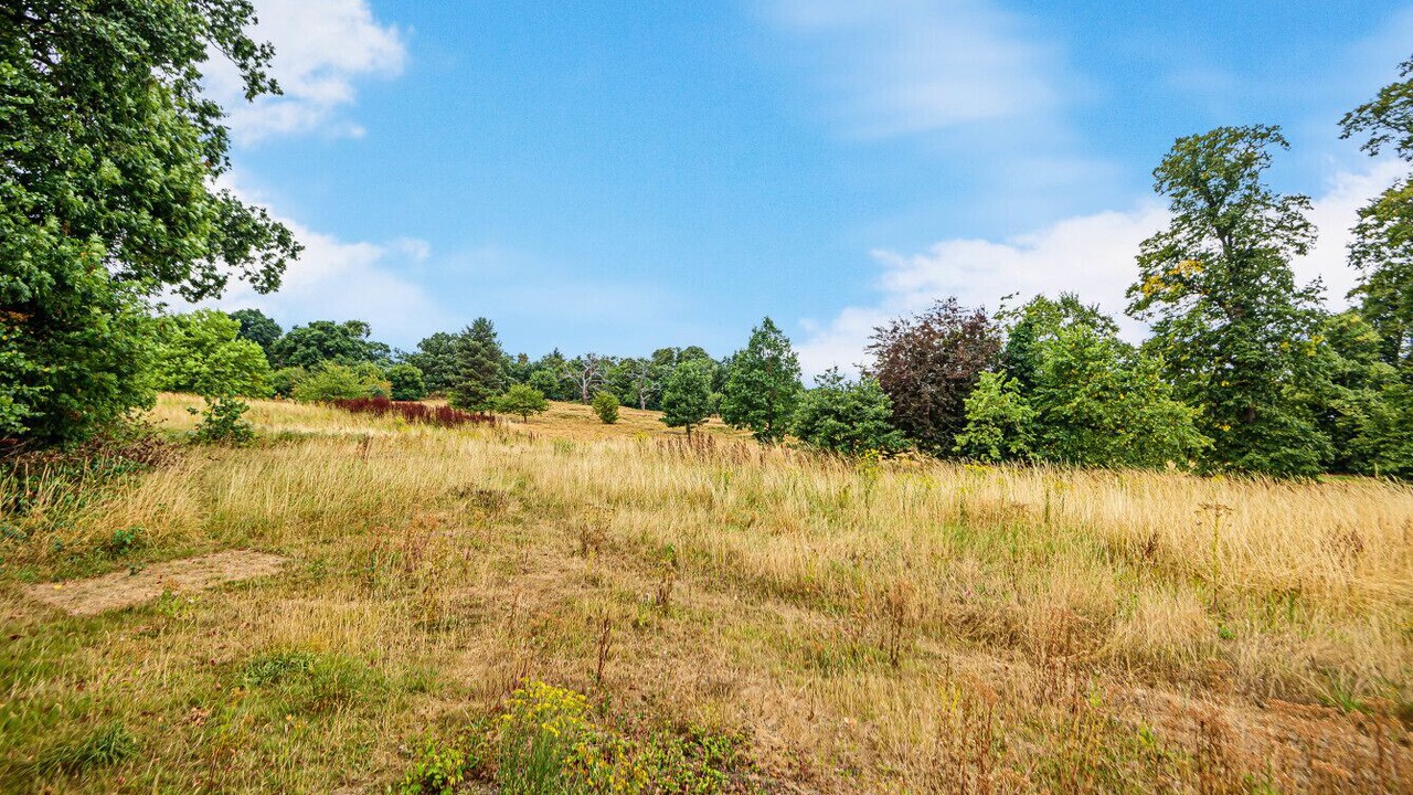 Photo of Outdoor in Bushey