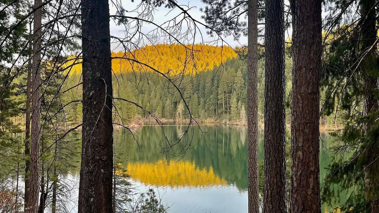 Photo of Outdoor in Pollock Pines