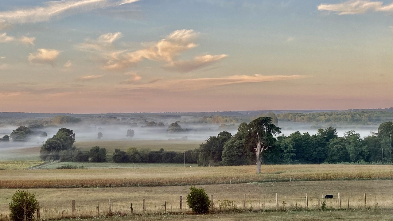 Photo of Others in Tierce