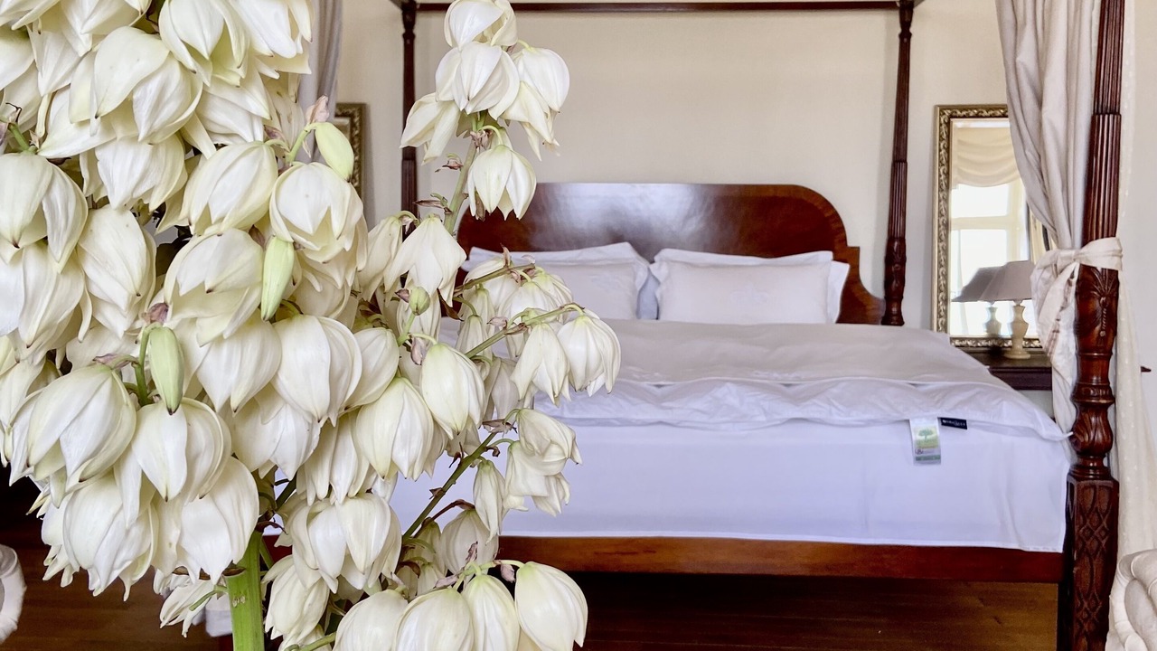 Photo of Others in Tierce