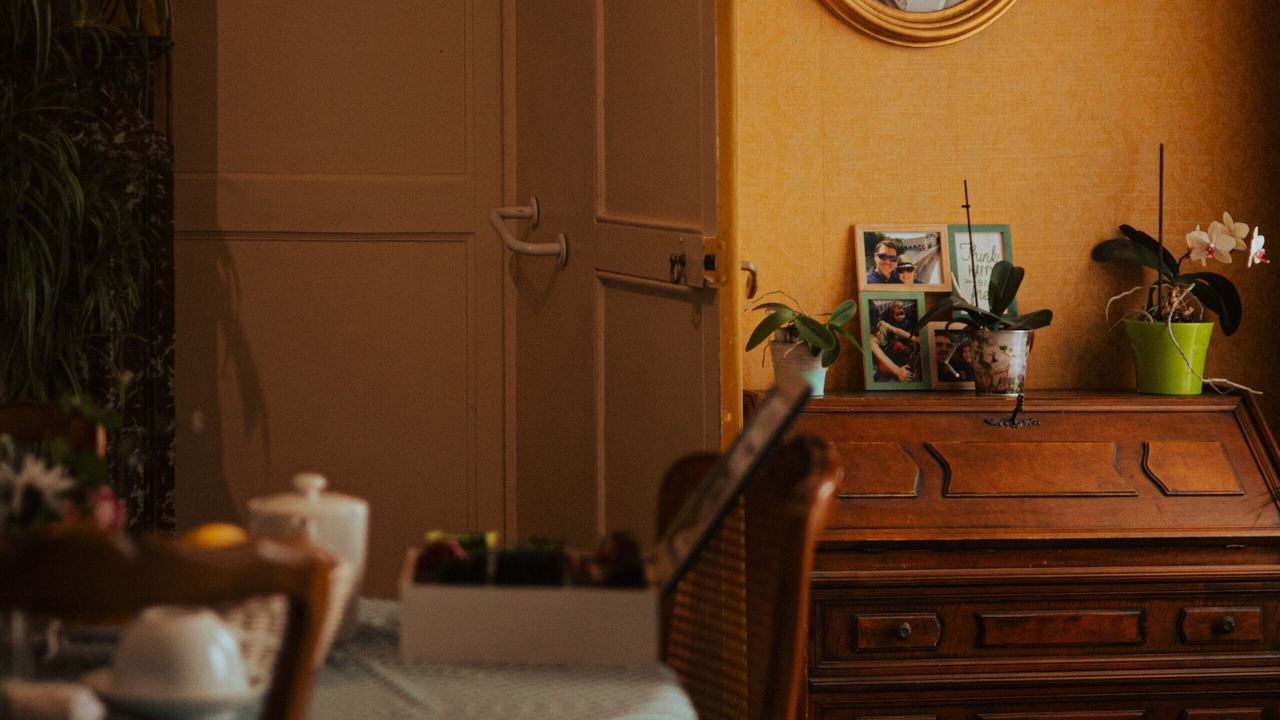 Photo of Others in Aubigny-sur-Nere