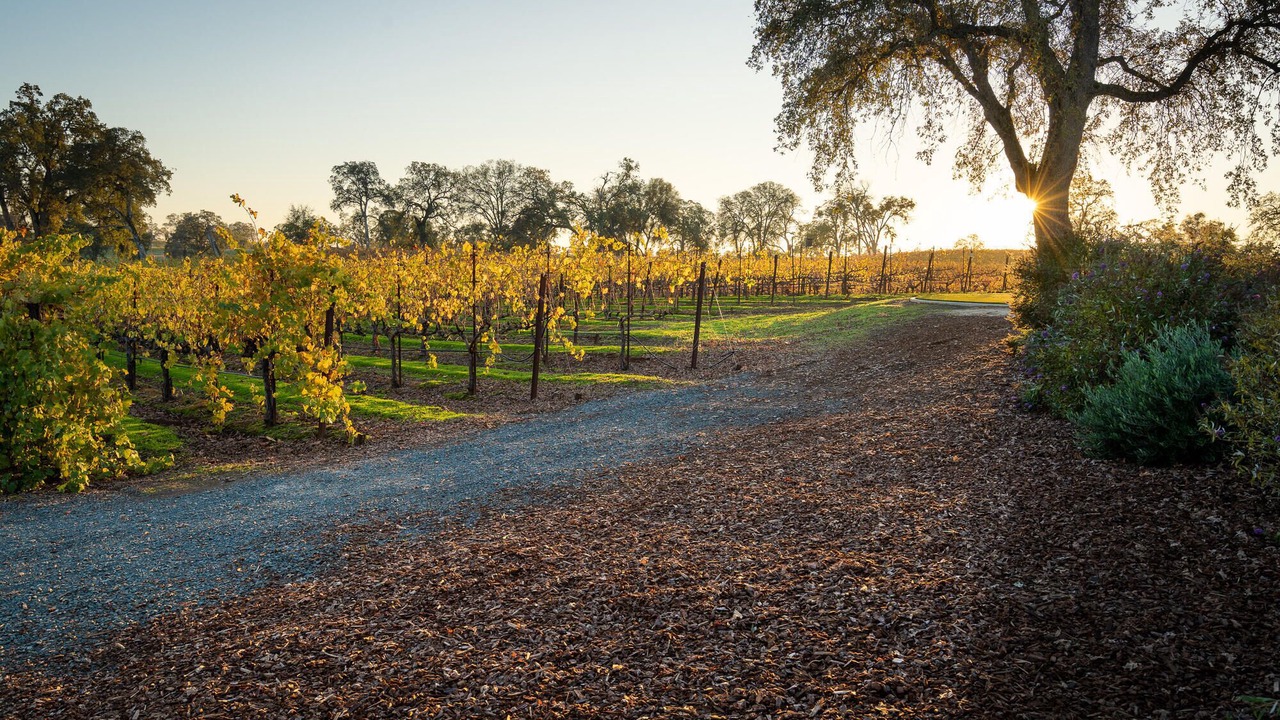 Photo of Outdoor in Shenandoah Valley